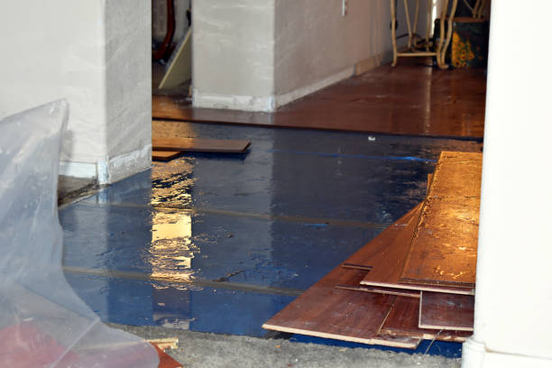 Professional Basement Flood Cleanup technician working in Holden, WV